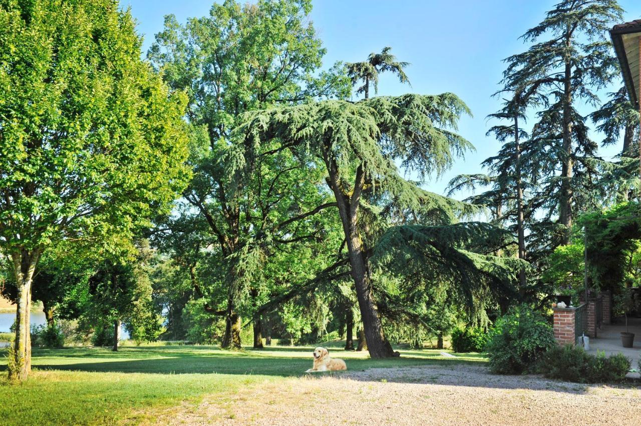 Clos Saint-Blaise Αλμπί Εξωτερικό φωτογραφία